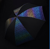 Umbrella: Iridescent Moogseum Logo