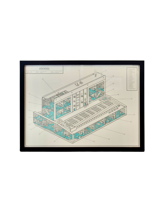 “Inside Information: Minimoog” Framed Dorothy Lithograph