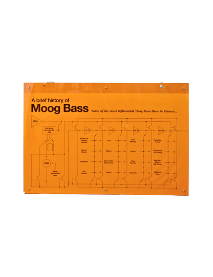 History of the Moog Bass Display