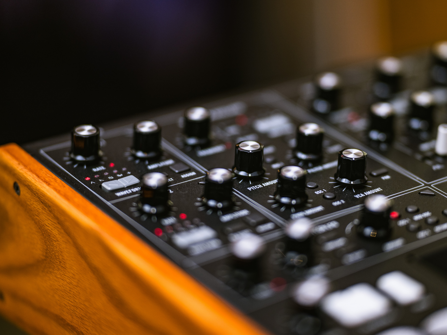 2026 Summer Raffle: Vintage Memorymoog Plus and Moog Muse