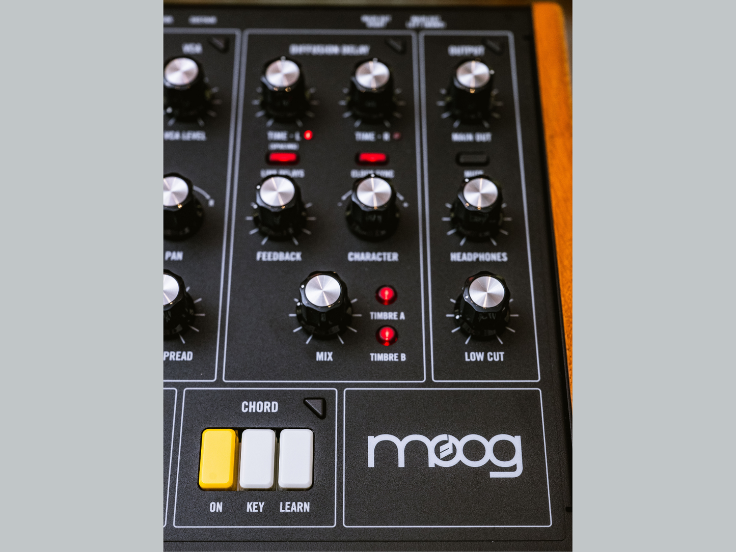 2026 Summer Raffle: Vintage Memorymoog Plus and Moog Muse